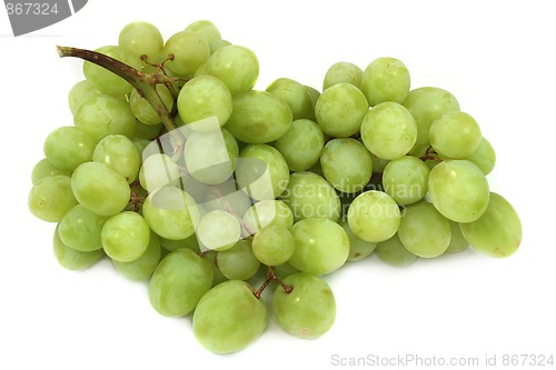 Image of Grapes
