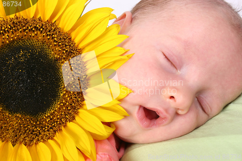 Image of Baby in dreamland