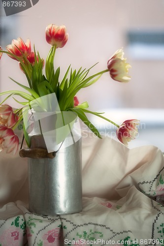 Image of Tulips in old Milk Can