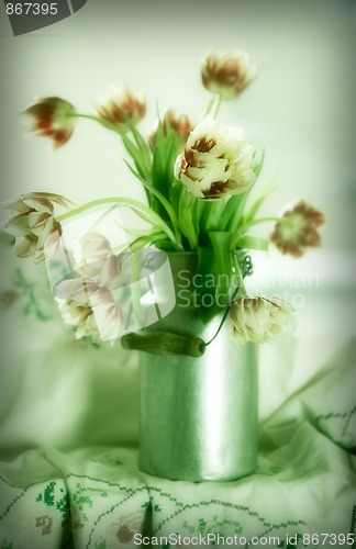 Image of Tulips in old Milk Can
