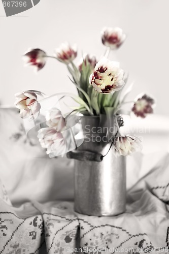 Image of Tulips in old Milk Can