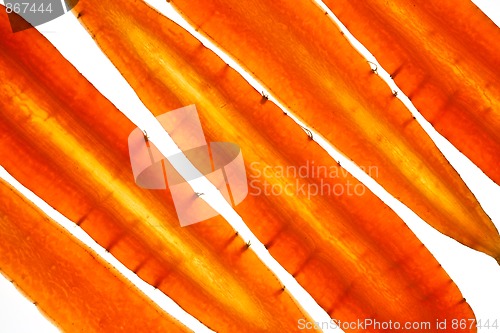 Image of Sliced Vegetables on white