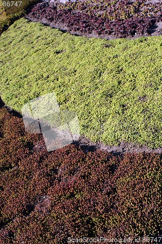 Image of Natural Texture
