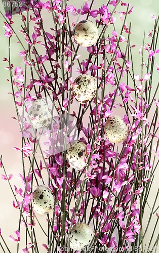 Image of Spring Twig with pink blossoms
