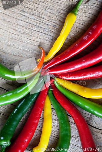 Image of Red, Yellow and Green Chili Pepper