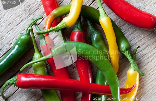 Image of Red, Yellow and Green Chili Pepper