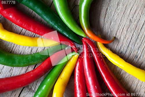 Image of Red, Yellow and Green Chili Pepper