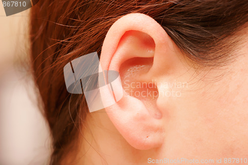 Image of ear