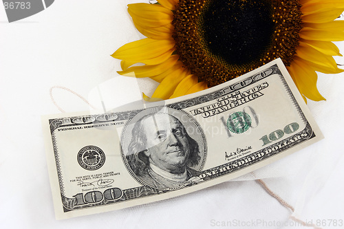 Image of $100 bill and a yellow sunflower