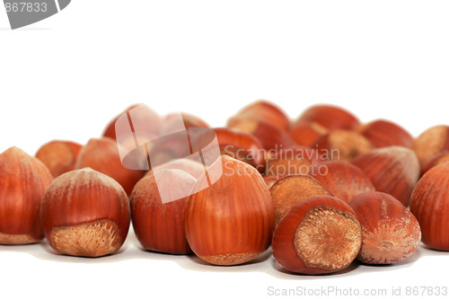 Image of hazelnuts