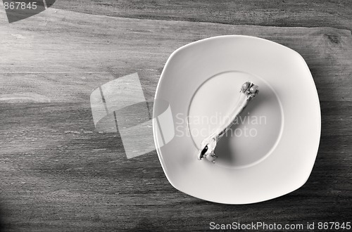 Image of Empty dinner plate with bones