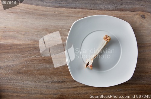 Image of Empty dinner plate with bones