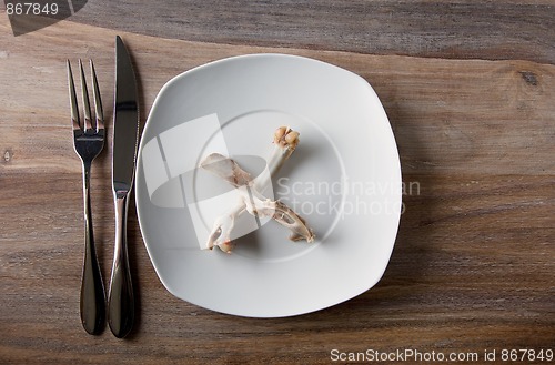Image of Empty dinner plate with bones
