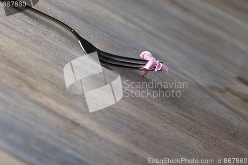 Image of Steel Fork on wooden Table