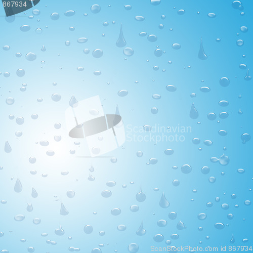 Image of Rain Drops