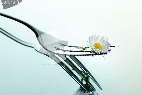 Image of Steel Fork and flower