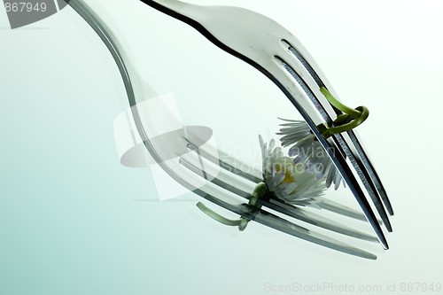 Image of Steel Fork and flower