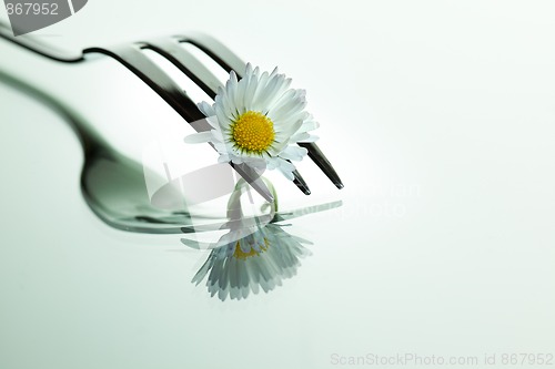 Image of Steel Fork and flower