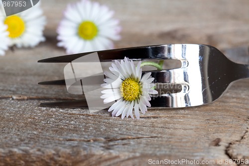 Image of Steel Fork and flower