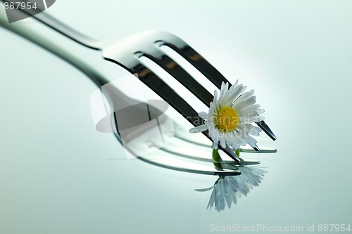 Image of Steel Fork and flower