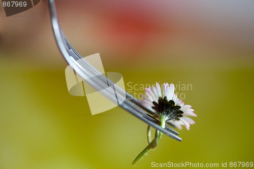 Image of Steel Fork and flower