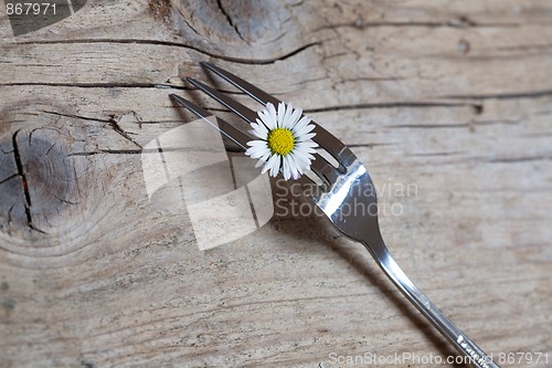 Image of Steel Fork and flower