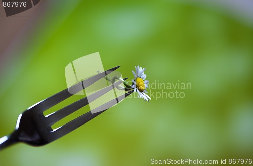 Image of Steel Fork and flower