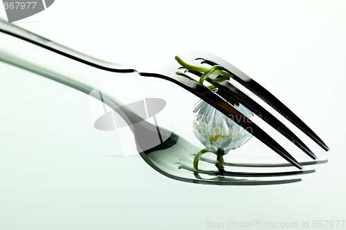 Image of Steel Fork and flower