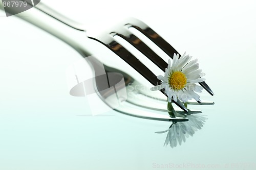 Image of Steel Fork and flower