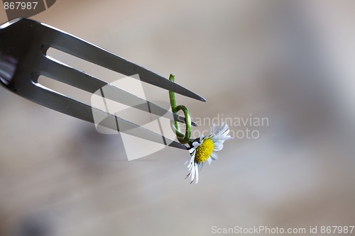 Image of Steel Fork and flower