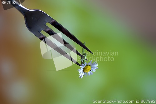 Image of Steel Fork and flower