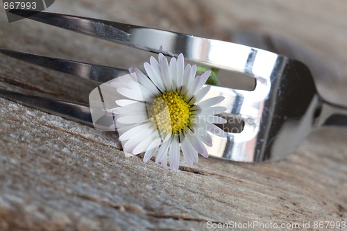 Image of Steel Fork and flower