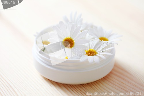 Image of chamomille face cream