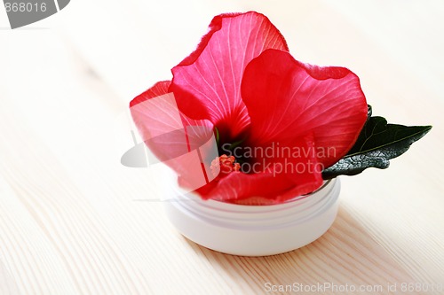 Image of hibiscus face cream