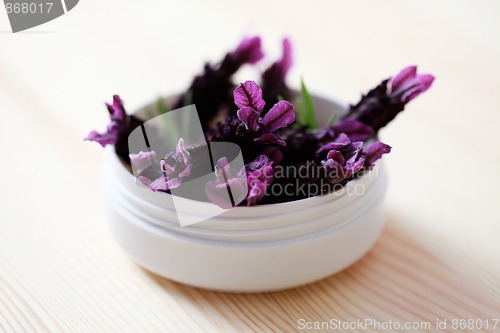 Image of lavender face cream