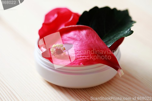 Image of hibiscus face cream