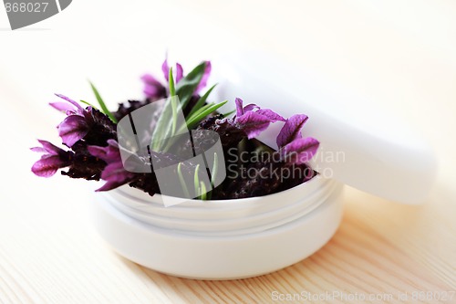 Image of lavender face cream