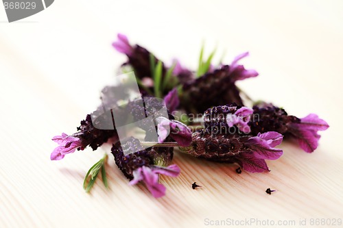 Image of lavender flowers