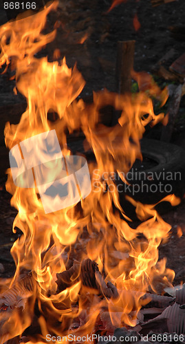 Image of Flame, fire