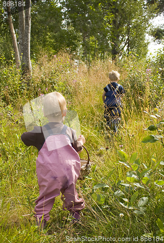 Image of Children walking in forest