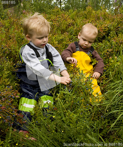 Image of Children picking berries