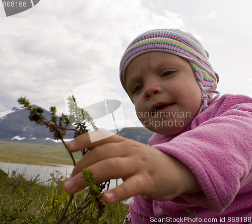Image of Child picking berries