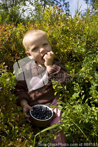 Image of Child eating berries