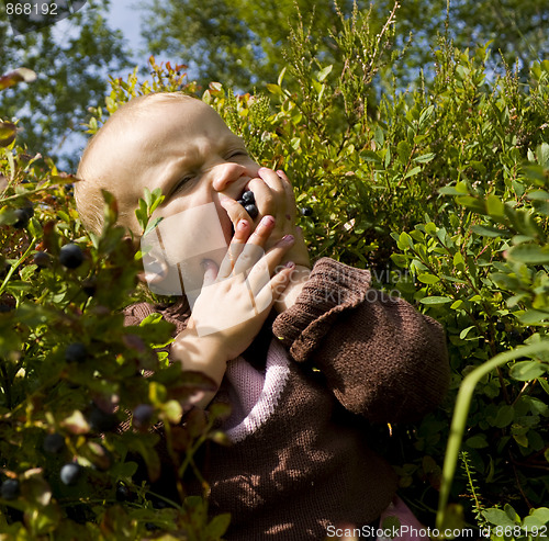 Image of Child eating berries