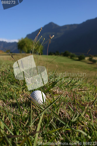 Image of Golf Ball on Course