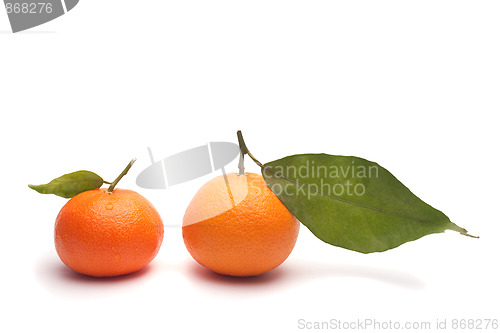 Image of tangerines