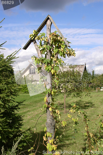 Image of Rural Landscape