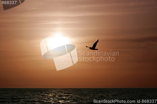 Image of Sunset at the sea 