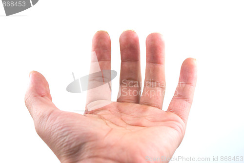 Image of Hand Gesture - Holding