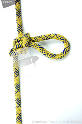 Image of In Line Figure 8 knot